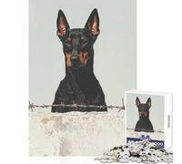Rompecabezas para Adolescentes de 1000 Piezas diseño de dóberman Pinscher detrás de una Valla Ideal para Decorar el hogar Regalos de Amigo Secreto Juegos Familiares Ejercicios cerebrales 50x75cm