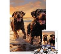 Rompecabezas para Adolescentes de 1000 Piezas: Dos labradores en la Playa Juguetes antiestrés Grandes Regalos y Juguetes Juego Familiar Entrena tu Cerebro y Tus Manos Tamaño 38x26cm