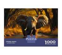 Rompecabezas para Adolescentes De 1000 Piezas Elephant in Water at Sunset Rompecabezas para Adultos Juegos Relajantes Regalos para Mujeres Ayuda A Ejercitar El Cerebro 52x38cm/1000pcs