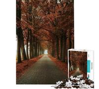 Rompecabezas para Adolescentes de 1000 Piezas Fabricado en Italia Rompecabezas de precisión para Adolescentes Juego de ingenio para la interacción Entre Padres e Hijos 38x52cm