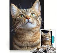 Rompecabezas para Adolescentes de 1000 Piezas: Gato atigrado Curioso, decoración de Pared, difícil y desafiante, Regalo de Juego desafiante 38x26cm