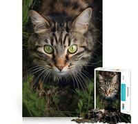 Rompecabezas para Adolescentes de 1000 Piezas Gato Caminando en la Hierba,Juego de articulaciones Ajustadas,Juguete cognitivo,Divertido y fácil de Usar,decoración navideña,Regalo (50x75cm)