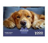 Rompecabezas para Adolescentes De 1000 Piezas Golden Retriever Resting on Gray Couch Rompecabezas para Adultos Juegos Relajantes Regalos para Mujeres Ayuda A Ejercitar El Cerebro 70x50cm/1000pcs