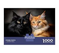 Rompecabezas para Adolescentes De 1000 Piezas Maine Coon Black and Orange Cats Rompecabezas para Adultos Juegos Familiares Análisis Y Lógica Cumpleaños Y Navidad 70x50cm/1000pcs