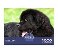 Rompecabezas para Adolescentes De 1000 Piezas Newfoundland Dog Portrait Rompecabezas para Adultos Juegos Relajantes Decoración Cumpleaños 70x50cm/1000pcs