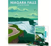 Rompecabezas para Adolescentes de 1000 Piezas,Parque Estatal de Las Cataratas del Niágara,Juego de Ajuste preciso,Juego de ingenio,Tiempo Libre,diversión, (38x52cm)