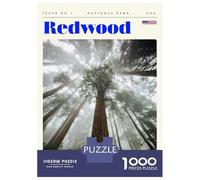 Rompecabezas para Adolescentes De 1000 Piezas Redwood National Park Travel Art Rompecabezas para Adultos Juego Práctico Pero Divertido Y Humorístico Regalo De Cumpleaños, Regalos, 52x38cm/1000pcs