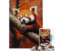 Rompecabezas para Adolescentes de 1000 Piezas Rompecabezas del Panda Rojo Soñando Juego práctico para Adultos decoración de Pared Regalo Ideal para Toda la Familia (tamaño 50x75cm)