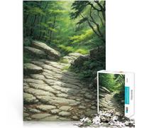 Rompecabezas para Adolescentes de 1000 Piezas Sendero del Bosque rocoso Análisis y lógica con Piezas de Formas aleatorias Que se entrelazan Completamente 50x70cm