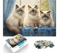 Rompecabezas para Adolescentes de 1000 Piezas Tres Gatos Ragdoll Entrena tu Cerebro y Tus Manos Juguetes de decoración del hogar 75x50cm