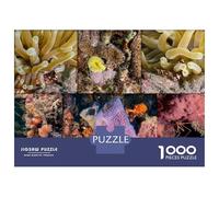 Rompecabezas para Adolescentes De 1000 Piezas Underwater Coral Reef Collage Rompecabezas para Adultos Juego Práctico Decoración De Pared Ayuda A Ejercitar El Cerebro 70x50cm/1000pcs