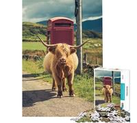 Rompecabezas para Adolescentes de 1000 Piezas Vaca de Las Tierras Altas Isla de Mull Difícil y desafiante Regalos para Mujeres Juegos Divertidos para Mayores de 14 años 50x75cm