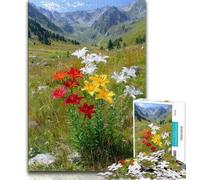 Rompecabezas para Adolescentes, Pintura al óleo de Flor de Amapola, 1000 Piezas para Adultos, Juguete Educativo antiestrés, Regalo para Amigos y Familiares (tamaño 75x50cm)