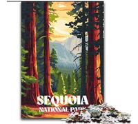 Rompecabezas para Adolescentes Sendero al Atardecer en Las secuoyas, desafiante y difícil, con Piezas aleatorias Que encajan Perfectamente, 50x75cm