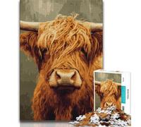 Rompecabezas para Adolescentes: Vaca de Las Tierras Altas 1000 Piezas para Adultos y Adolescentes Juego desafiante y Familiar interacción Entre Padres e Hijos 26x38cm