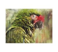 Rompecabezas para Adolescentes1000pcs(52x38cm) Fear No Parrot Rompecabezas para Adultos Juego De Ingenio Mejora La Memoria Ayuda A Ejercitar El Cerebro 1000pcs(52x38cm)