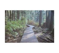 Rompecabezas para Adolescentes1000pcs(75x50cm) Path to The Forest Canada Rompecabezas para Adultos Juego De Ingenio Mejora La Memoria Ayuda A Ejercitar El Cerebro 1000pcs(75x50cm)