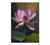 Rompecabezas para Adolescentes38x26cm/1000pcsS Lotus Flower Bloom Rompecabezas para Adultos Juego Familiar Regalos para Mujeres Ayuda A Ejercitar El Cerebro 38x26cm/1000pcsS