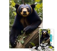 Rompecabezas para Adultos 1000 Oso malayo en el Bosque Juegos educativos Juguetes educativos de Aprendizaje Obra de Arte Regalo Actividades Familiares (Tamaño 38x26cm)