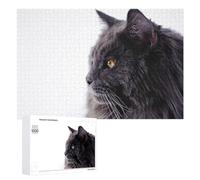 Rompecabezas para Adultos 1000 PCS Black Maine Coon Cat Rompecabezas para Adultos Juguetes Antiestrés Análisis Y Lógica Regalo De Cumpleaños, Regalos, 1000 PCS