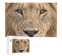 Rompecabezas para Adultos 1000 PCS Lion Face Close-Up Rompecabezas para Adultos Juguetes Antiestrés Mejora La Memoria Regalos De Cumpleaños Y Únicos 1000 PCS