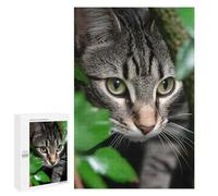 Rompecabezas para Adultos 1000 PCS Tabby Cat Peeking Through Greenery Rompecabezas para Adultos Juegos Divertidos Decoración Desafiante De Completar 1000 PCS