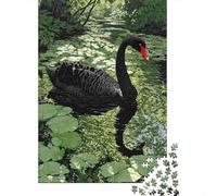 Rompecabezas para Adultos 1000 Piezas Black Swan Art Print-16 Rompecabezas para Adultos Juegos De Relajación Carrera De Velocidad De Manos Juego Desafiante Regalos 70x50cm/1000pcs