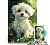 Rompecabezas para Adultos 1000 Piezas Cachorro de Perro maltés en Flores Juego Intelectual Trato como Regalo para Toda la Familia 50x70cm