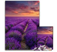 Rompecabezas para Adultos, 1000 Piezas de cartón de jardín de Lavanda, diseño intrincado para Adolescentes, decoración DIY y diversión para estimular el Cerebro, 26x38cm