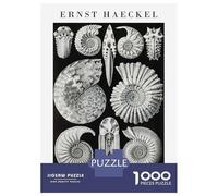 Rompecabezas para Adultos 1000 Piezas Ernst Haeckel Ammonite Illustration Rompecabezas para Adolescentes Juguete Decoración De Pared Alivio del Estrés Cumpleaños 38x26cm/1000pcs