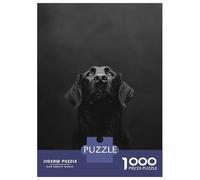 Rompecabezas para Adultos 1000 Piezas Flat-Coated Retriever Photography Rompecabezas Juegos para Relajarse Vacaciones En Casa Matar El Tiempo Actividades Divertidas En Casa 70x50cm/1000pcs