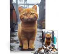 Rompecabezas para Adultos 1000 Piezas Gato Jengibre en un Entorno Urbano Juego práctico para divertirse en Familia y Fortalecer el Amor Entre Parejas 50x75cm