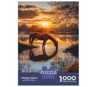 Rompecabezas para Adultos 1000 Piezas Horse at Sunset by Water Rompecabezas para Adolescentes Juegos Relajantes Análisis Y Lógica Cumpleaños Y Navidad 38x26cm/1000pcs