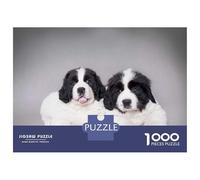 Rompecabezas para Adultos 1000 Piezas Landseer Puppies Rompecabezas Juegos Divertidos Vacaciones En Casa Matar El Tiempo Oferta como Regalos para Toda La Familia 38x26cm/1000pcs