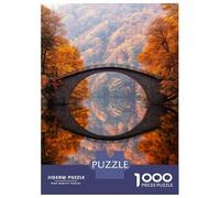 Rompecabezas para Adultos 1000 Piezas Stone Arch Bridge Reflection Rompecabezas para Adultos Juego Práctico Difícil Difícil Diversión En Casa Actividades, 38x26cm/1000pcs
