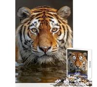 Rompecabezas para Adultos 1000 Piezas Tigre en el Agua Retrato de Cerca Juguete Educativo Regalos para Mujeres Hombres Juegos relajantes Ayuda a ejercitar el Cerebro Tamaño 50x75cm