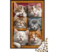 Rompecabezas para Adultos 1000 Sleepy Cats Compilation Rompecabezas para Adultos Juegos Relajantes Montaje De Patrones Regalos para Amigos Y Familiares 38x26cm/1000pcs