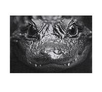Rompecabezas para Adultos 1000pcs(38x26cm) Alligator Close-Up in Black and White Rompecabezas para Adultos Juegos Familiares Regalos para Mujeres Regalos para Amigos Y Familiares 1000pcs(38x26cm)