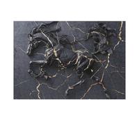 Rompecabezas para Adultos 1000pcs(38x26cm) Black and Gold Kintsugi Horse Sculpture Rompecabezas para Adultos Juego Familiar Corte De Precisión Cumpleaños Y Navidad 1000pcs(38x26cm)