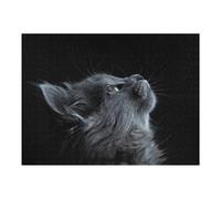 Rompecabezas para Adultos 1000pcs(52x38cm) Gray Cat Portrait Rompecabezas para Adultos Juegos Familiares Desafío Difícil Desafío Difícil 1000pcs(52x38cm)
