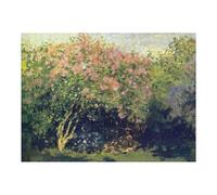 Rompecabezas para Adultos 1000pcs(52x38cm) Lilacs in The Sun by Monet Rompecabezas para Adultos Juego De Ingenio Corte De Precisión Actividades Divertidas En Casa 1000pcs(52x38cm)