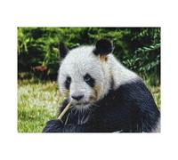 Rompecabezas para Adultos 1000pcs(52x38cm) Rompecabezas Panda Rompecabezas para Adultos Juguete Decoración De Pared Desafío Difícil Difícil Y Desafío 1000pcs(52x38cm)