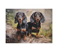 Rompecabezas para Adultos 1000pcs(52x38cm) Two Dachshunds Portrait Rompecabezas para Adultos Juego Familiar Corte De Precisión Cumpleaños Y Navidad 1000pcs(52x38cm)