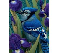 Rompecabezas para Adultos 2000 Piezas, Puzzle 2000 Piezas Adultos Aves, 100x70cm Puzzles Desafiante Flor de Iris con Letras en la Parte Posterior sin Polvo, Relax Regalo para Mujeres y Hombres