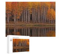 Rompecabezas para Adultos 300 PCS Autumn Aspen Trees Reflected in Lake Rompecabezas para Adultos Juego Familiar Regalos para Mujeres Regalo De Cumpleaños, Regalos, 300 PCS