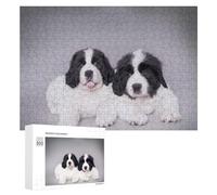 Rompecabezas para Adultos 300 PCS Landseer Puppies Rompecabezas para Adultos Juegos Relajantes Regalo De Cumpleaños Gran Regalo para Jugar 300 PCS