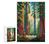 Rompecabezas para Adultos 300 PCS Redwood National Park Illustration Rompecabezas para Adultos Juegos Relajantes Difícil Regalos para Amigos Y Familiares 300 PCS