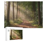 Rompecabezas para Adultos 300 PCS Rompecabezas Sunlit Forest Path Rompecabezas para Adultos Juguetes Antiestrés Análisis Y Lógica Cumpleaños 300 PCS