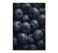 Rompecabezas para Adultos 38x26cm/1000pcsS Fresh Blueberries with Water Drops Rompecabezas para Adultos Juego De Ingenio Regalo De Cumpleaños Cumpleaños Y Navidad 38x26cm/1000pcsS