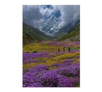 Rompecabezas para Adultos 38x26cm/1000pcsS Mountain Valley Flowers Hike Rompecabezas para Adultos Juego De Ingenio Regalo De Cumpleaños Desafío Educativo 38x26cm/1000pcsS